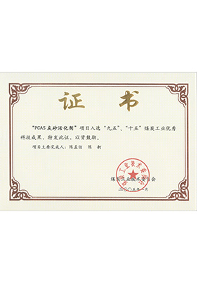 2005年1月PCAS灰砂活化劑獲“九五、十五”科技成果獎